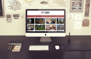Realizare website Pensiune Covasna
