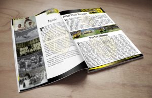 Grafica revista Fc Brasov