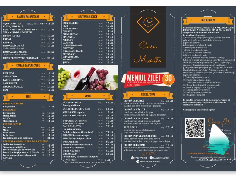 Grafica meniu pensiune - format A3